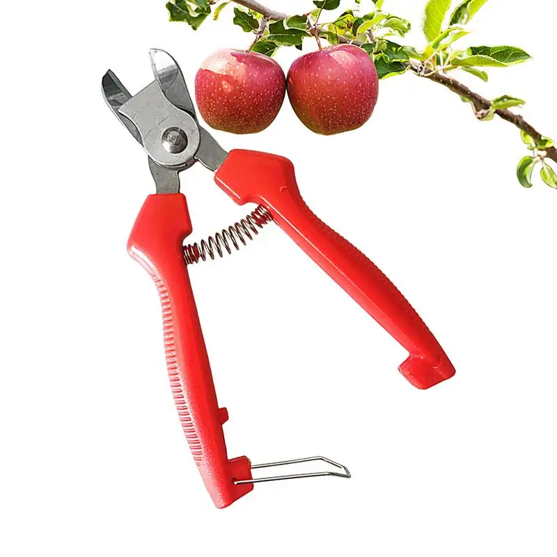 

Curved Stainless Steel Garden Cutter Gardening Scissor With Comfortable Handle Grip Durable Gardening Hand Tools Shears &