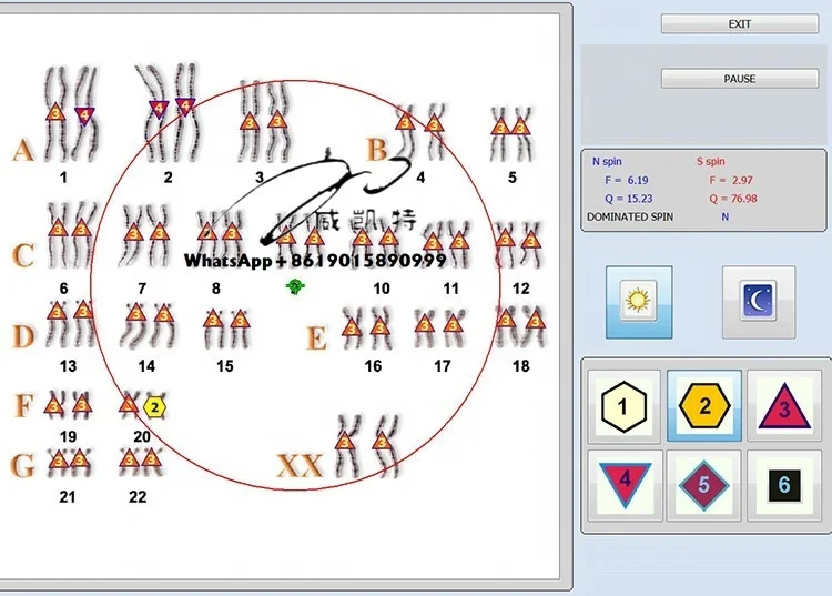 complementary and alternative medicine new Aura Therapy Bioresonance Acupuncture iris aura DNA RNA nls diagnostics device