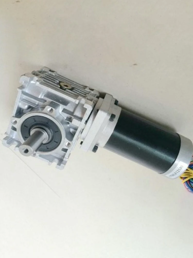 RV30 Worm Reducer Brushless DC Motor 24V 3000rpm 69W Gear Ratio 5 7.5 10 15 20 25 40 50 60 80:1 dual output shafts