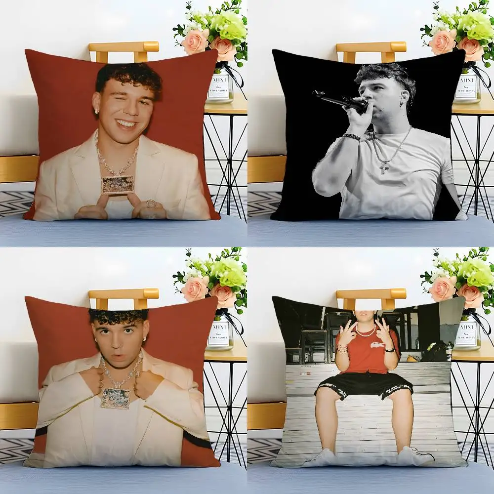 غطاء وسادة مغني الراب Q-Quevedo غطاء وسادة مضاد للغبار وسحاب غير مرئي أريكة حريرية من القطيفة