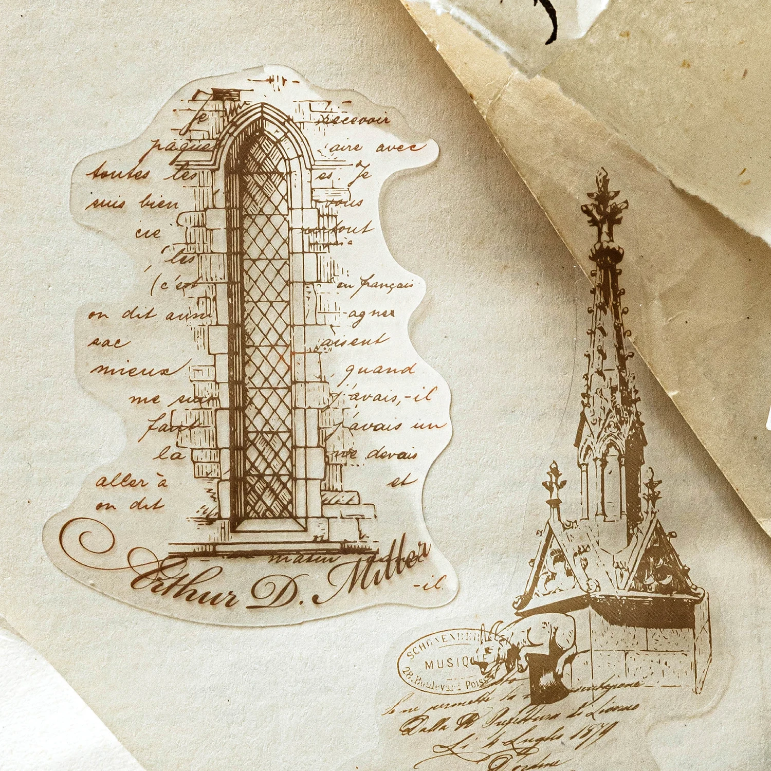 20 قطعة/الحزمة ملصقات الحيوانات الأليفة شفافة مواد سكرابوكينغ DIY بها بنفسك غير المرغوب فيه مجلة ملصقة لغة الكولاج ملصقات ديكور لتزيين الغرف #6