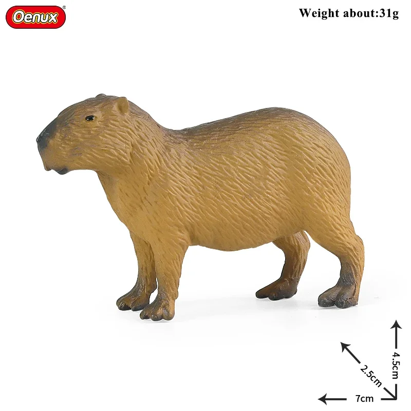 Oenux New Wild Animals Forest Orangutan Pigeon Hedgehog Aardvark Capybara Action Figure Model Figurines PVC Collection Kids Toy