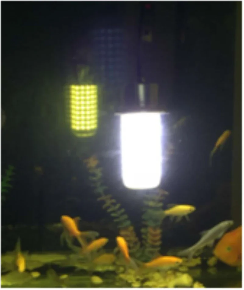 Свет для подводной рыбалки, искатель приманок, лампа для ночной рыбалки, лодка, погружная глубоководная капля, рыба, 12 В постоянного тока, осветительные приманки