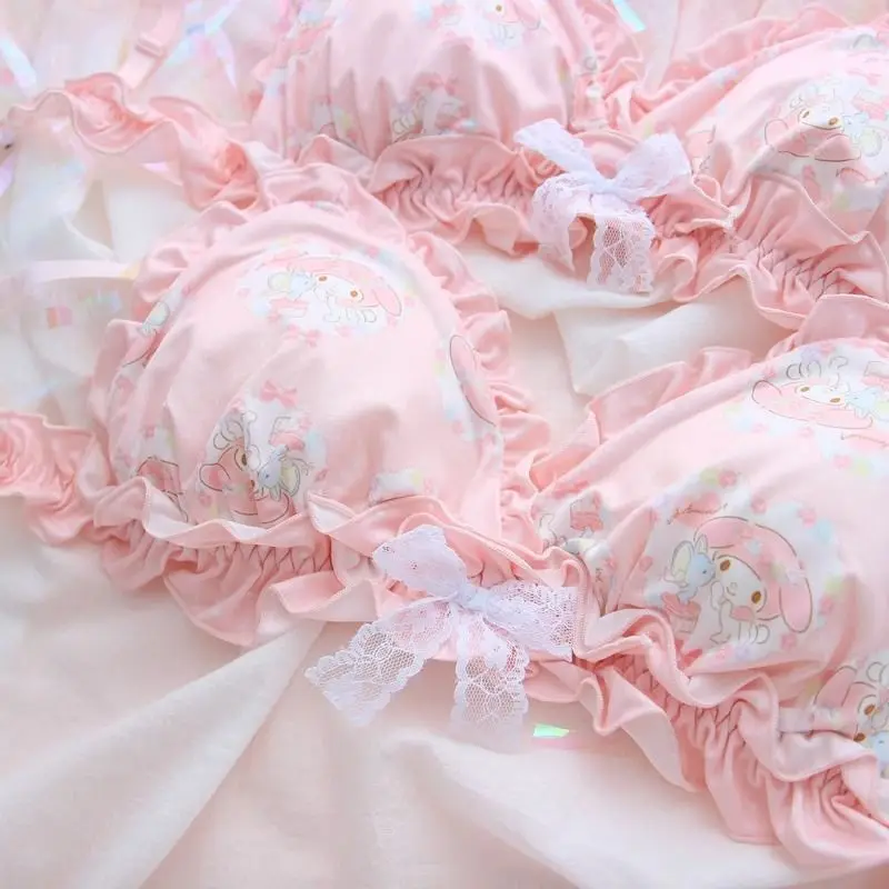 Cute Cartoon Pattern Rabbit Cat Japanese Bra Girl Sweet Bow Lace Underwear No Wires Small Breast Push Up Bra Set Holiday Gift - view 2
