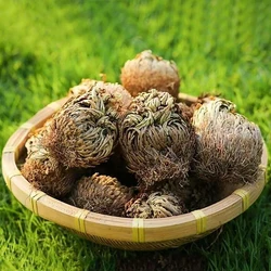 1PC Selfberry Nine Dead Resurrection Grass Rockery DIY Accessories Tabletop Green Artificial Plants Home Decoration