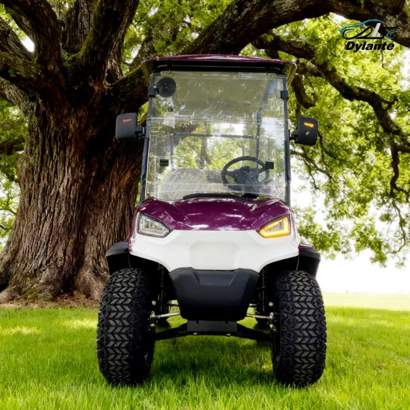 Off-Road Hunting 72V 5KW AC System Lithium 2-Seater Electric Golf Cart Lead-Acid Battery And Lithium Battery Optional Powered