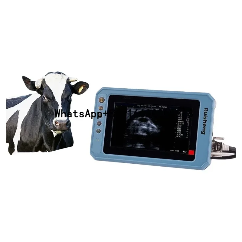 

7 Inch Led Screen Medical Equipment Veterinary Equipment Portable Handle Digital B Ultrasound Machine For Animals Cattle Dog