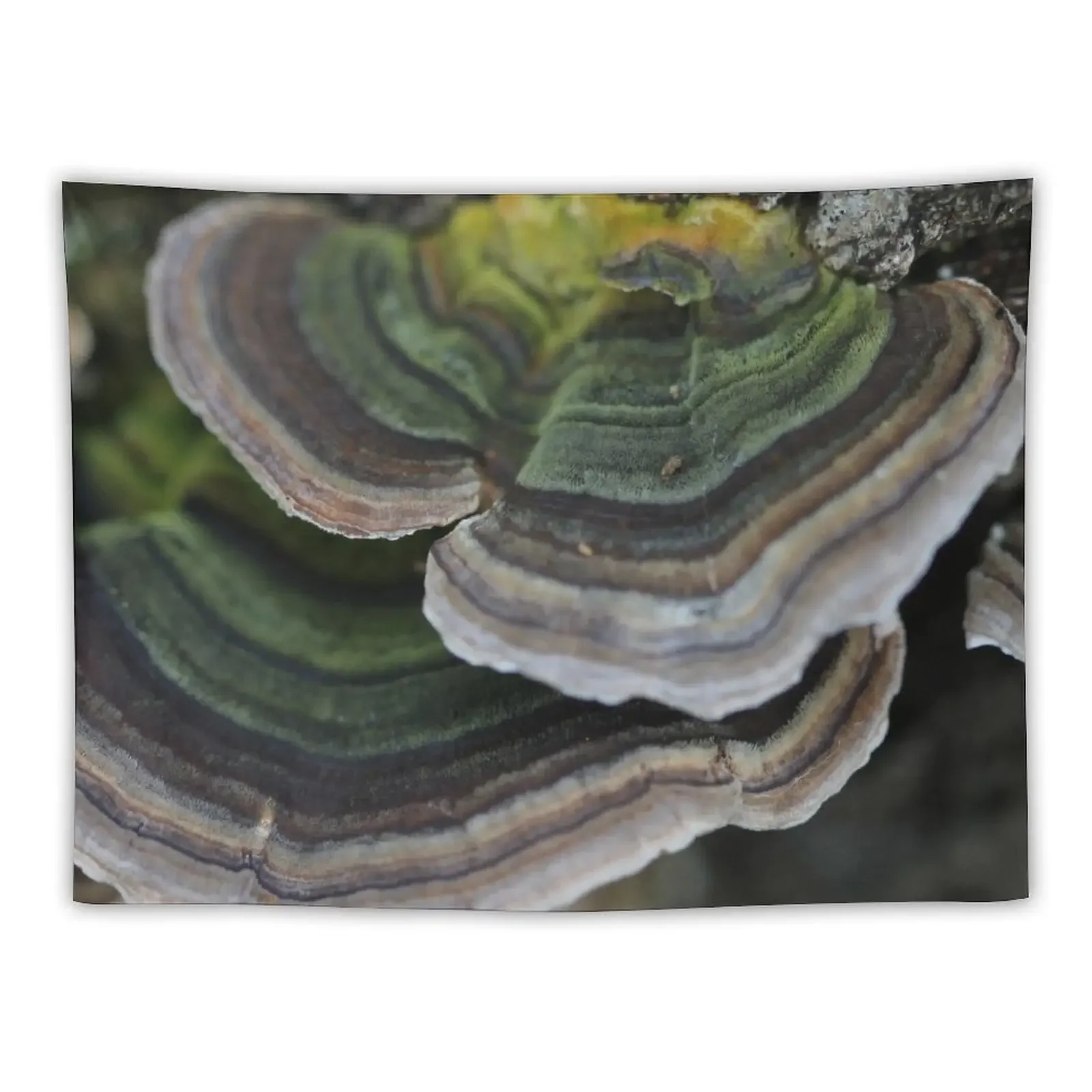 Bracket fungus Tapestry Wallpaper Bedroom Carpet On The Wall Wall Decorations Tapestry