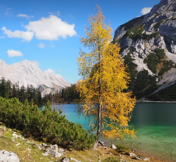 

Hot Full HD Wireless WiFi Baby Monitor with Night Vision Two-Way Audio Cry Monitoring & Feeding Reminder Supports Two-Way Audio