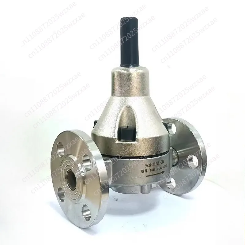 Stainless Steel 304/316 Safety Valve/Check Pressure Relief Valve DN15/20/25/32/40 Back Pressure Valve