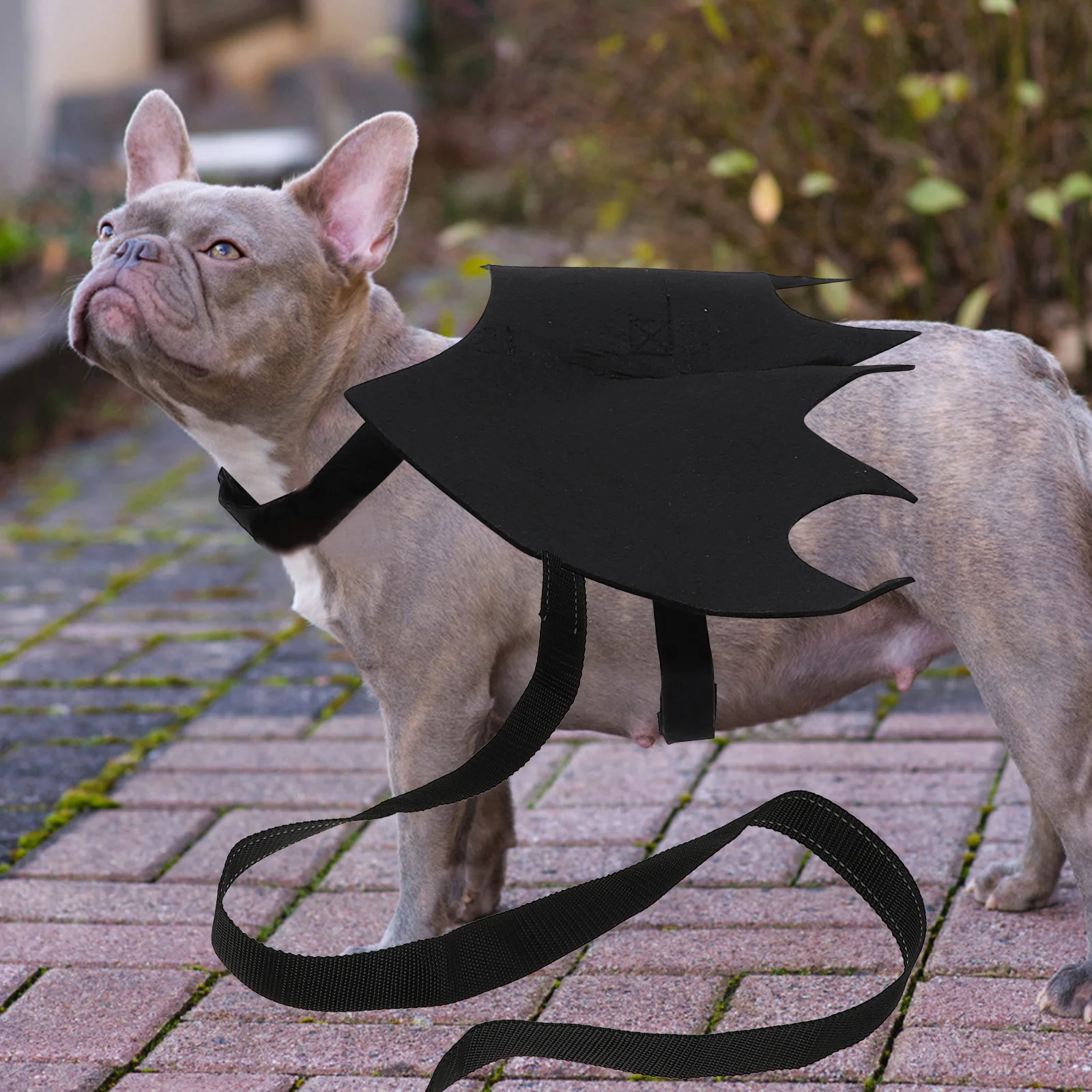 

Pet Leash Cat Chest Strap Bat Wing Decor Halloween Party Supplies Adjustable Comfortable for Small Pets Button Color Random