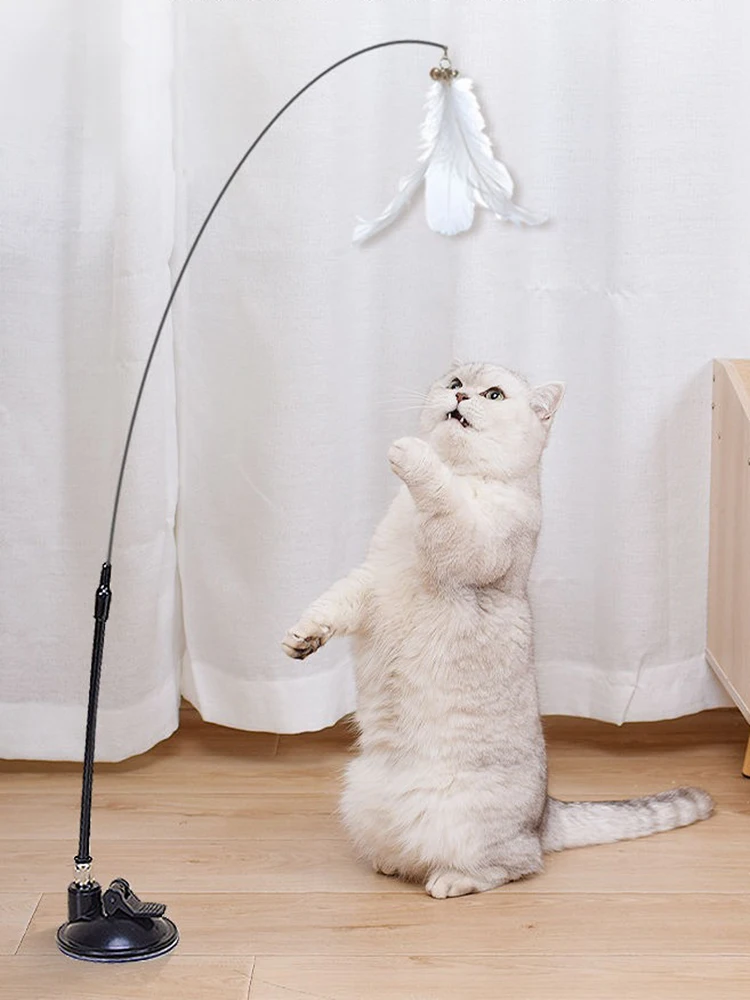 Neuer Leistungsstarker Katzen-Spielstab mit Glocke, Langer Stab, Abnehmbares Katzenspielzeug, Amazon Haustierbedarf – Detail 13