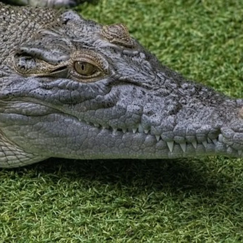 

4 шт., 65 мм 1,3 дюйма, набор металлических колес с бисером для 1/18 1/24 RC гусеничного автомобиля TRX4M SCX24 AX24 FCX24, обновленные детали