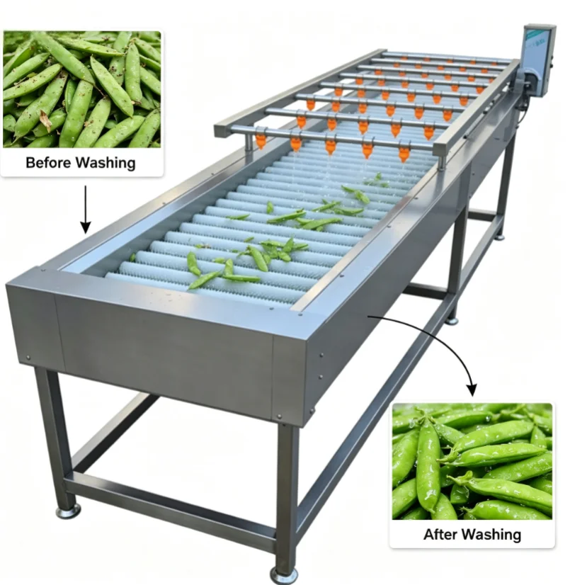 *for Competitive Price Continuous Stainless Steel Brush Cleaning Machine with Detachable Spray Pipe for Big Vegetable Factory