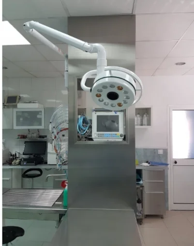 Luz de operación de techo médica veterinaria de cirugía plástica tipo colgante de gran oferta LED montada en la pared