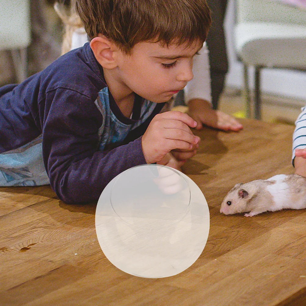 عش تبريد زجاجي للهامستر، عش شينشيلا صغير للحيوانات الأليفة، تبريد صيفي، كوخ زجاجي، عش هامستر رائع #1