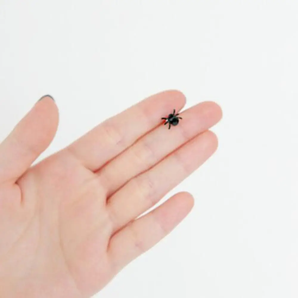 Fashion Alloy Spider Earrings Party Gifts Black Earrings Personality Advanced Sense Ear Stud Girl