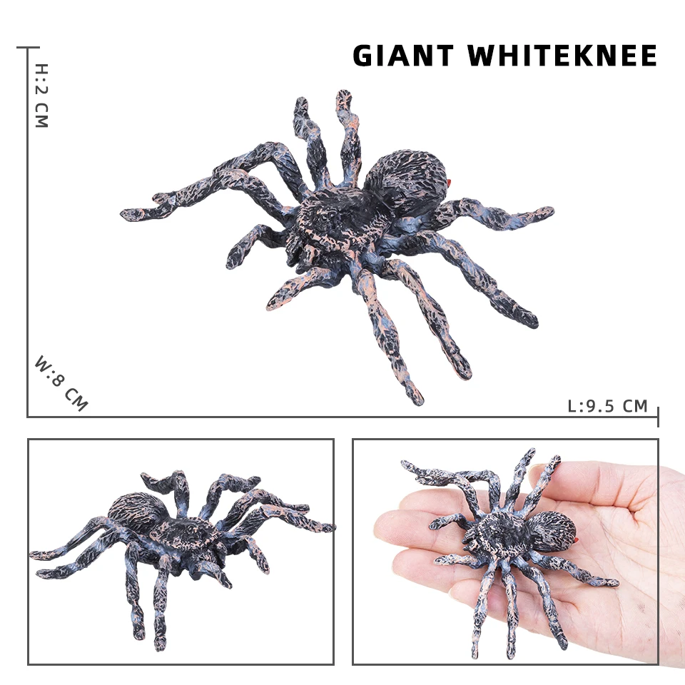 Simulation Tiere Insekt Solide Modell Spinne Tarantula Schwarze Spinne Halloween Scary Action-figuren Pädagogisches Spielzeug Für Kinder – Detail 10