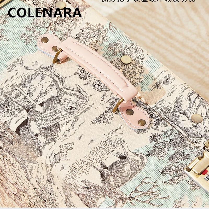 COLENARA PU Suitcase 20 Inches Boarding Box 24