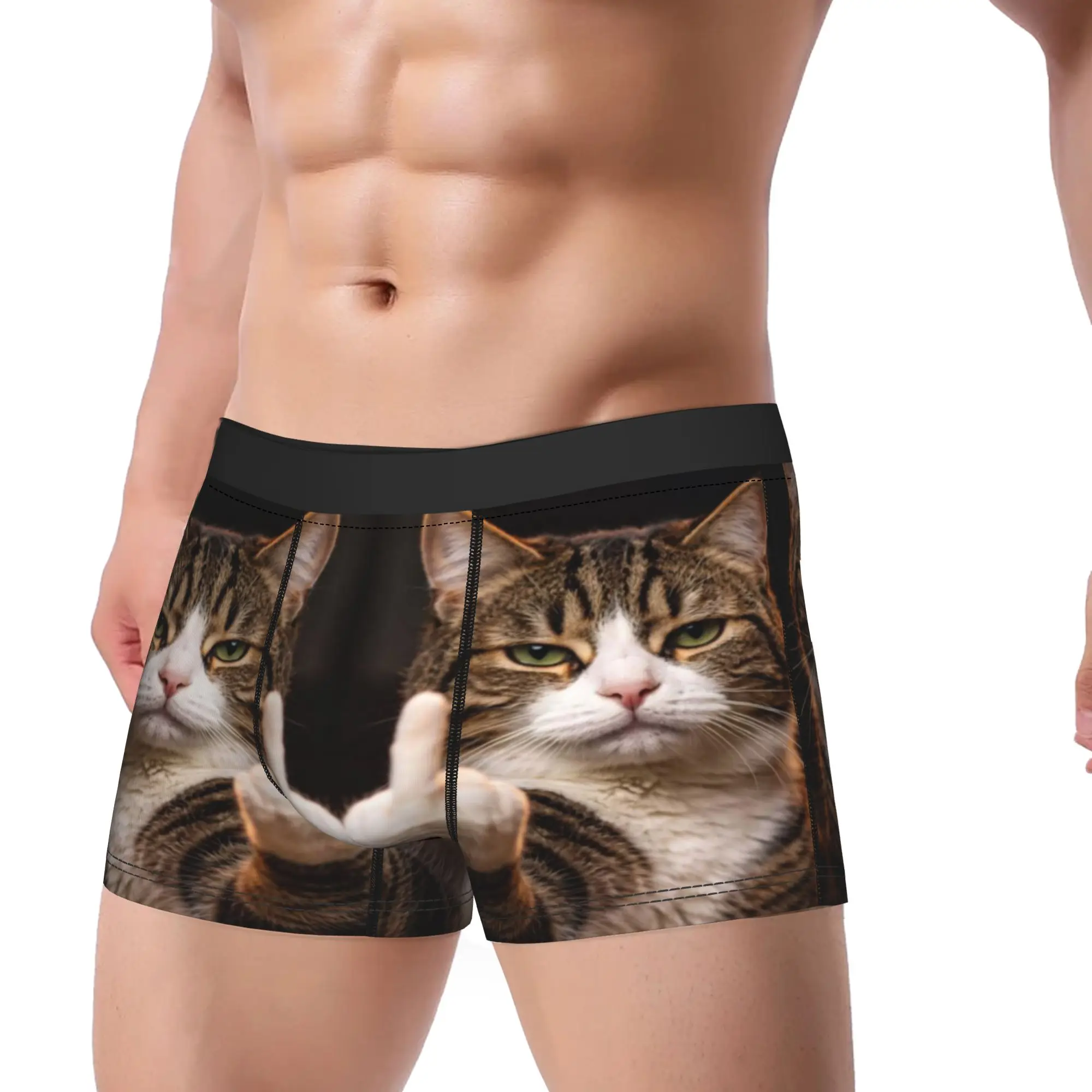 Tabby Cat Middle Finger Funny Meme Art  Underpants Breathbale Panties Man Underwear Ventilate Shorts Boxer Briefs