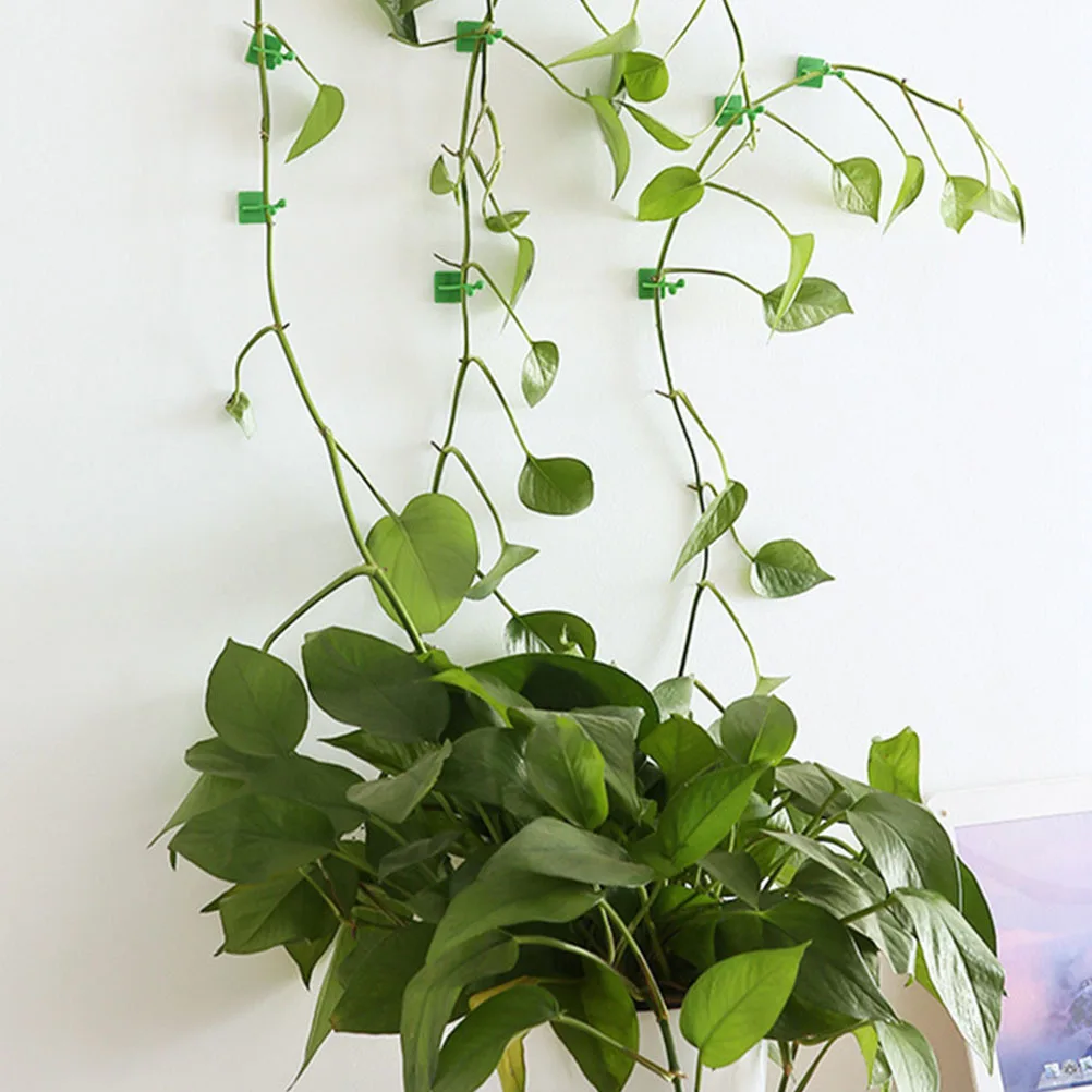 

10Pcs Plant Climbing Wall Fixing Clips High Quality ABS Material Self Adhesive Vine Holder for Vertical Green Walls Gardening