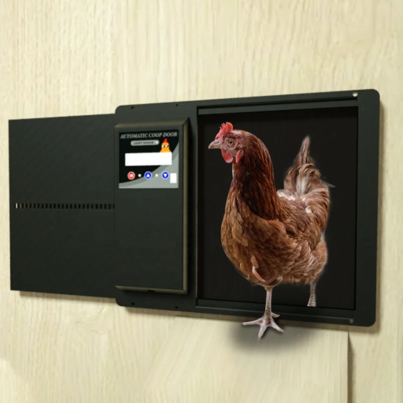 

Wholesale Timing Automatic Chicken Coop Door Solar Light Sensitive Plastic Chicken Door Open And Close For Poultry Farming Cage