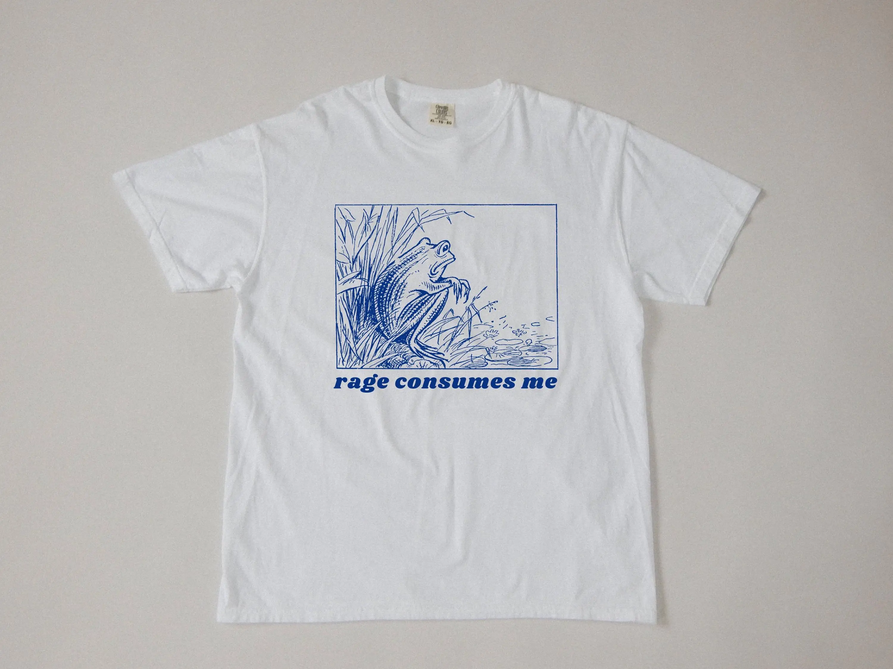 Rage Consumes Me Shirt, Funny Frog Shirt, Meme Shirt, Unhinged Shirt, Weird Shirt, Vsco, Trendy Shirt