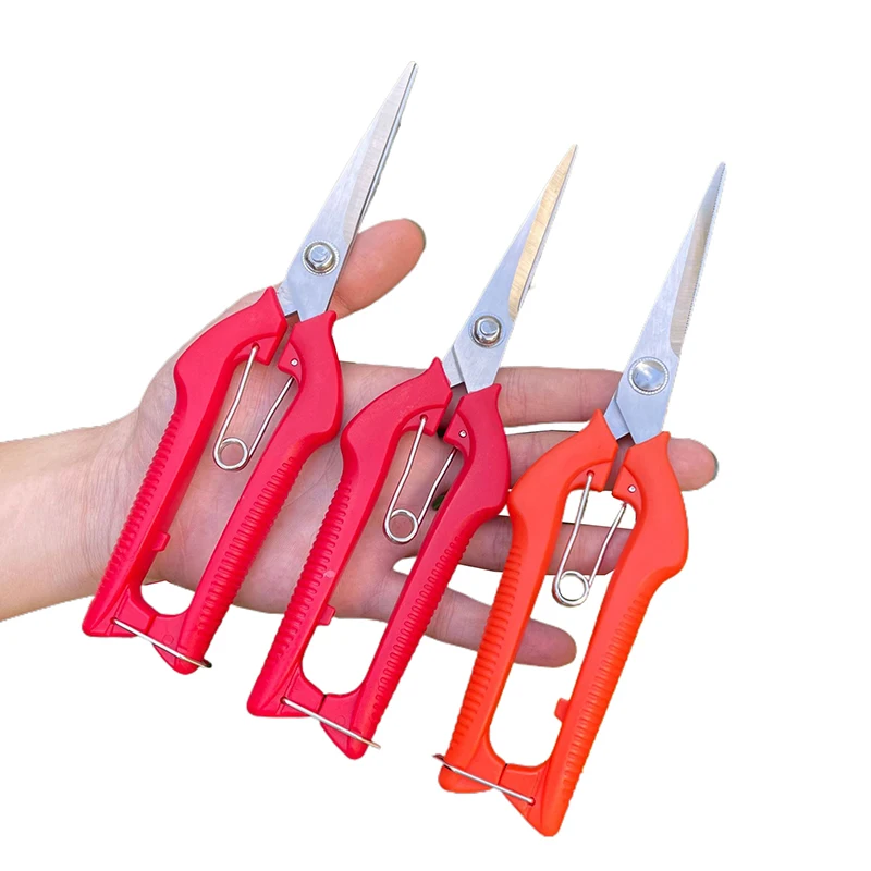 Pruning Shear Branch Scissors Stainless Steel Non-Slip Handle Sharp Garden Fruit Tree Pruning Very Sharp Garden Tools