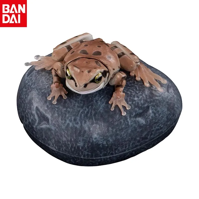 BANDAI Simulated Animal Model Rhacophorus Hylachinensis Different Style Models Active Joint Action Figure Desktop Decoration
