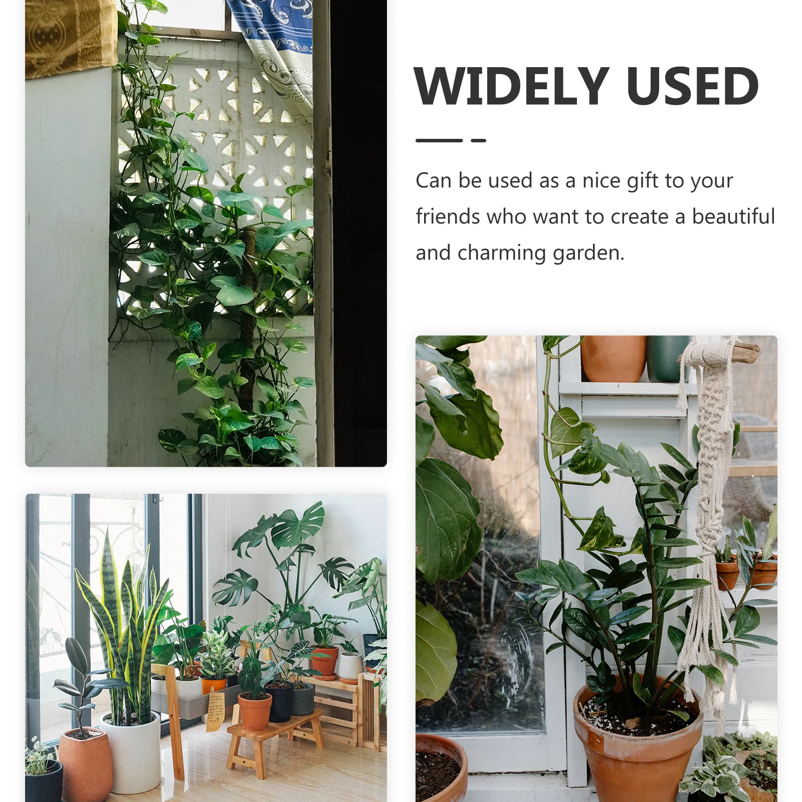 

2 шт. спиральные опоры для растений, регулируемые клетки для выращивания томатов, держатели для вьющихся растений в саду, металлическая подставка для растений