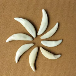 DIY beads Ecru Black More size Tooth Natural Bone Beads Pendant For Jewelry Making Fashion beads Accessories,35~45mm, Unperforat