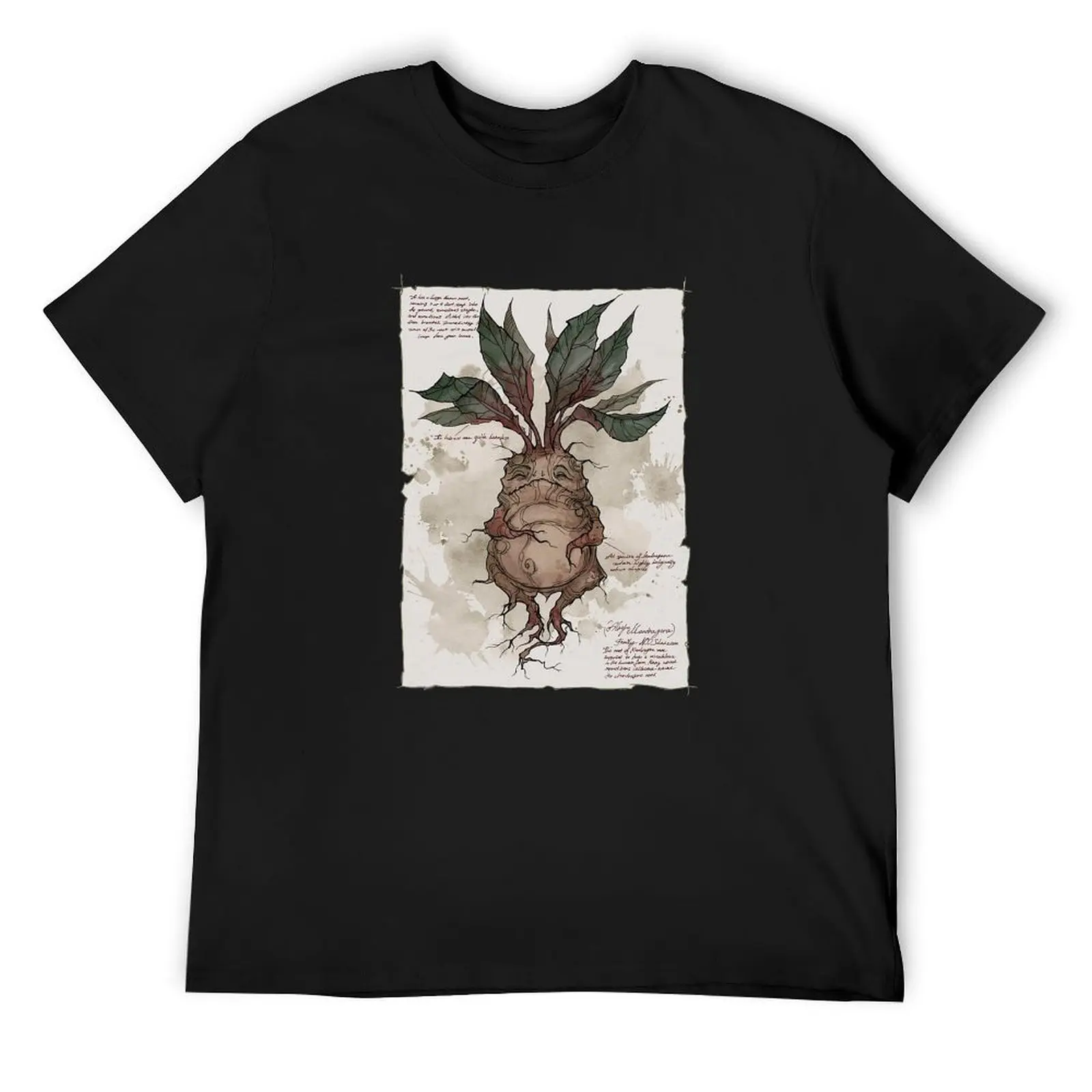 definition of mandrake - spell magic T-Shirt oversized t shirt graphic t shirts clothing for men