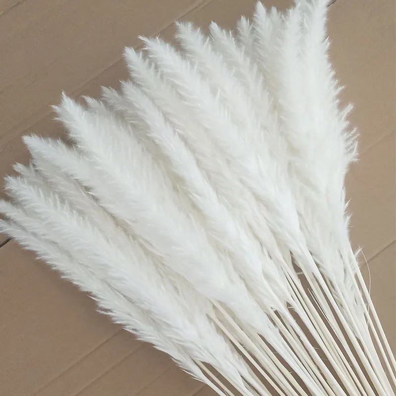 

15PCS Natural Pampas Grass Dried Reed Flower Arrangement for mariage boheme Backdrops Wedding Supplies Modern Home Office