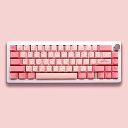 Keebox Ania Theme PBT Dye Sub Small Full Set Mechanical Keyboard DIY Keycaps Cherry Profile Pink Key Caps