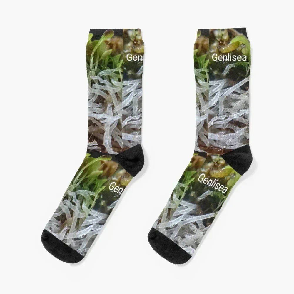 

Genlisea aka the corkscrew plant #1 Socks Non-slip cartoon kids christmas stocking Socks Ladies Men's