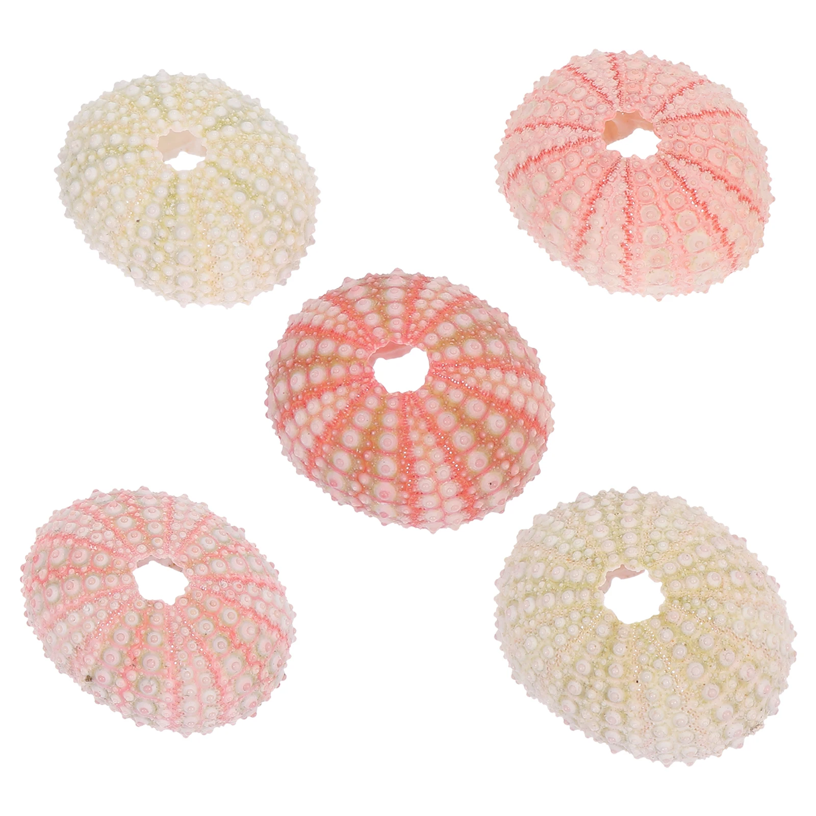 

5 Pcs Shell Decorations Aquarium Desktop Decors Fish Tank Home Office Vitality Ornaments Safe Color Shape