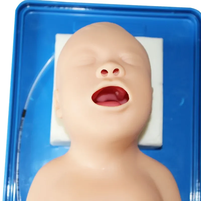 Neonatal Tracheal Model, Newborn Infant Intubation Training Mannequin