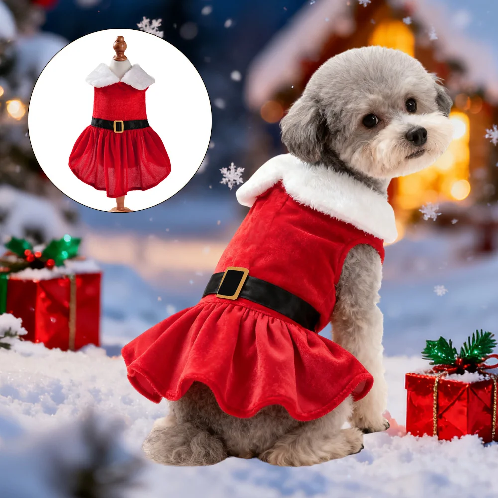 yZ[zybgRXvߑ^^Lp킢NX}Xʔp[eB[qLߑuhbOWPbg