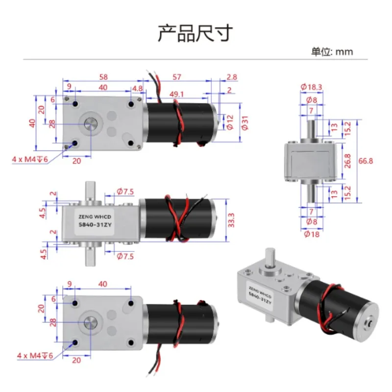 5840-31ZY Double Output Shaft Turbine Worm Reduction 12V DC Motor 24V All-metal Gear