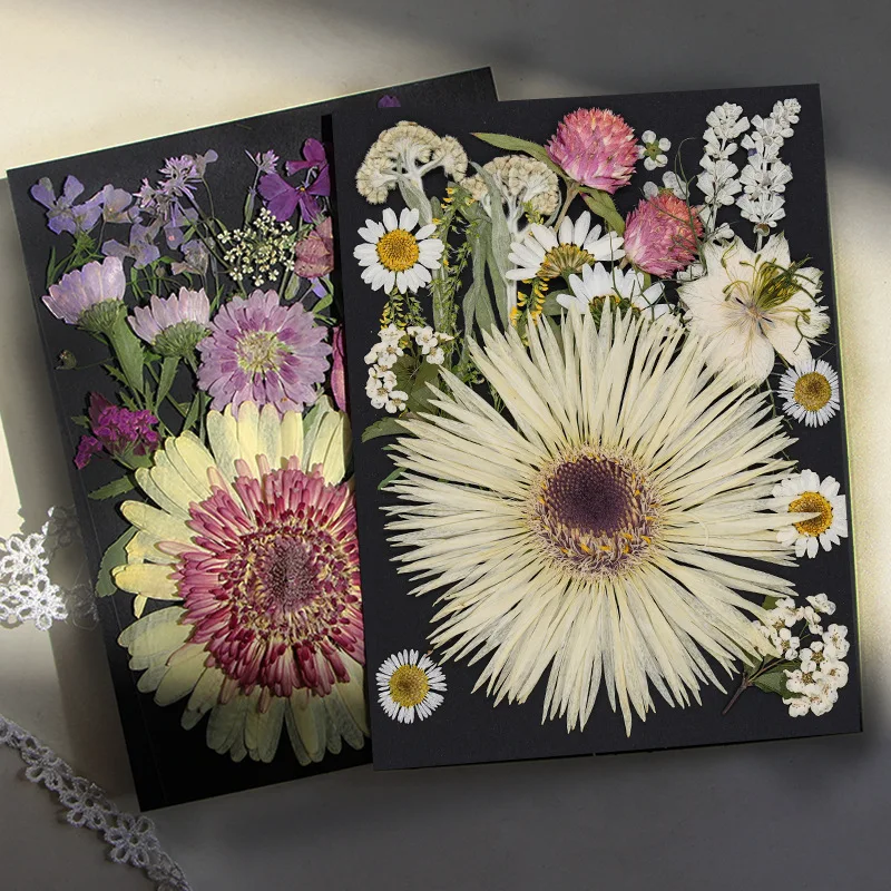 Children's Dried Flower Embossed Decorative Plant Specimen Painting Petals Material Package Handmade DIY Photo Frame Glue Embossed Flower Table Lamp Flower Material