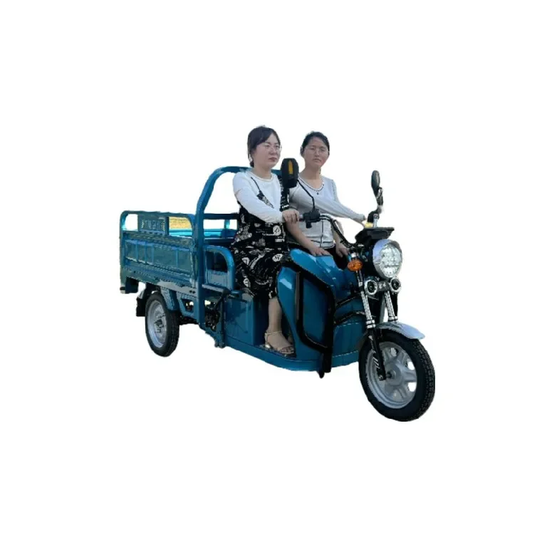 Factory direct sales 1000w 60V32Ah Lead Acid battery electric tricycle wholesale 3 wheels cargo electric motorcycle