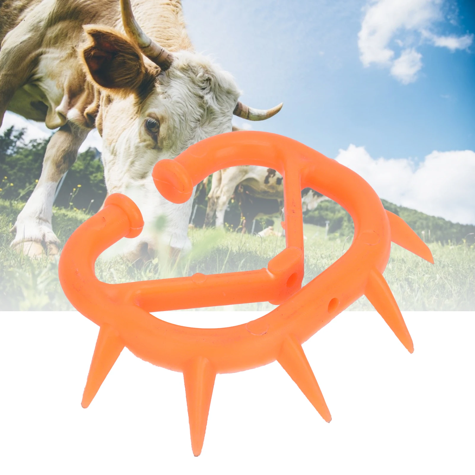 5Pcs Cow Nose Thorn Bovine Weaning Thorn Cattle Weaner With Thick Plastic Cow Nose RingsBoutique Models