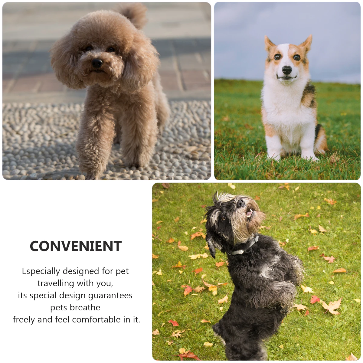 

Pet Backpack Bag for Commuting Dog The Puppy Carrier High Elastic Sponge Carrying Small Dogs Bags Breathable Left Shoulder