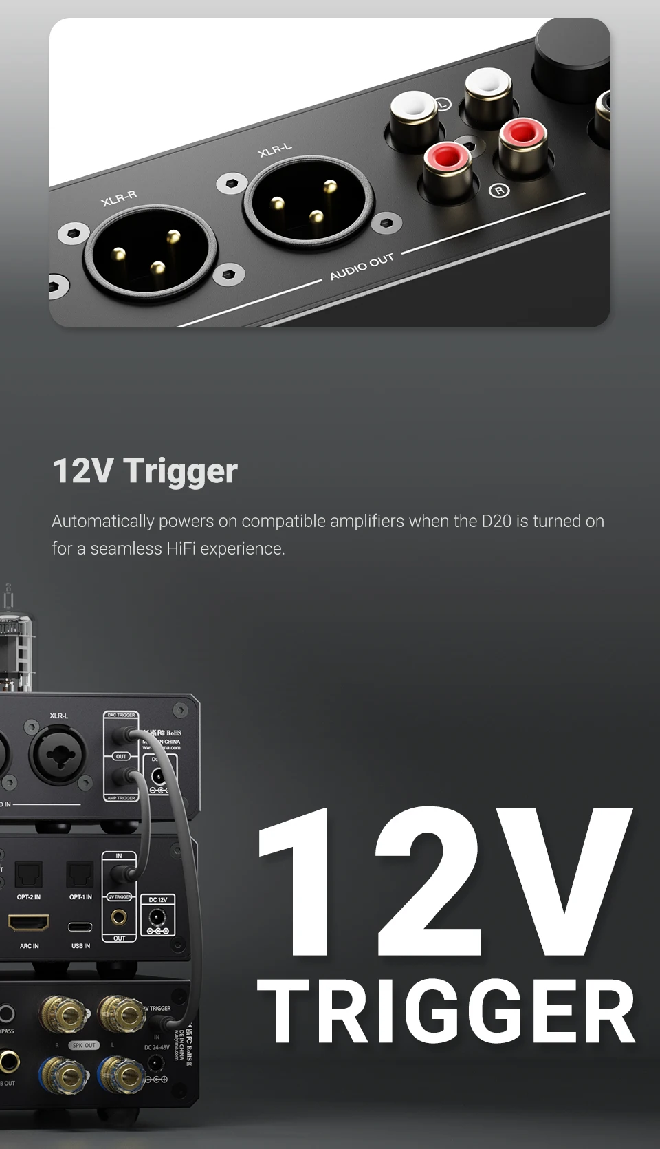 AIYIMA D20 HiFi DAC-Decoder AK4493SEQ ES9039Q2M XMOS XU316 USB DSD512 Bluetooth 5.1 LDAC RCA XLR Audio-Konverter VU-Meter – Detail 16