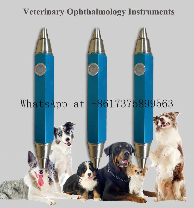Professional Veterinary Specialized Ophthalmic Diagnostic Examination Equipment for Small Large Animal Clinic Hospital Use
