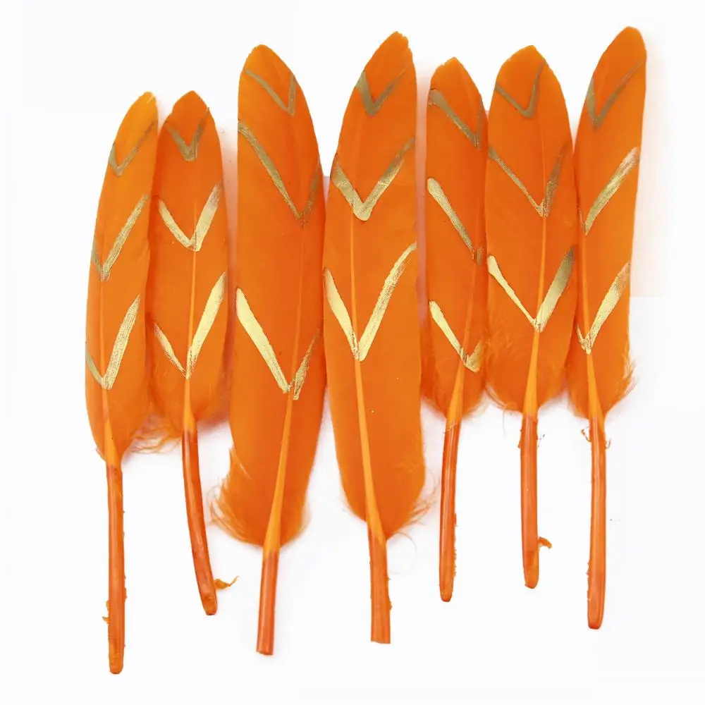 31 Styles Orange Feathers Assortment for DIY Crafts Costume Masquerade Earrings Pheasant Rooster Duck Feathers Bulk Supply