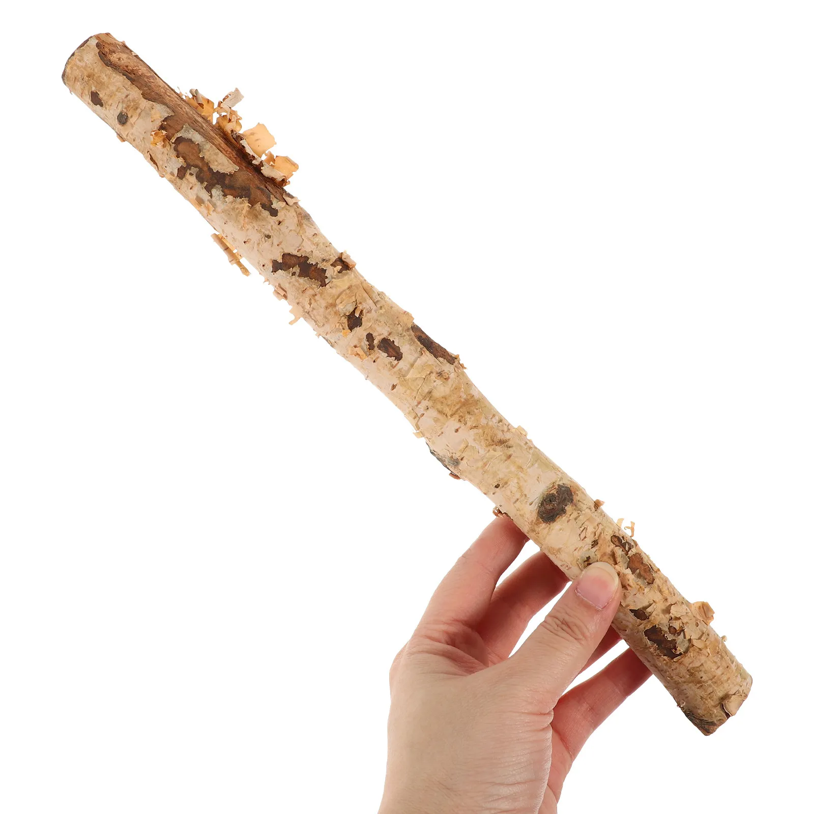 

6Pcs Wood Log Sticks Natural Dry Thin Branches Light Brown Wood Craft Sticks DIY Crafts Floral Photo Props Crafts for DIY