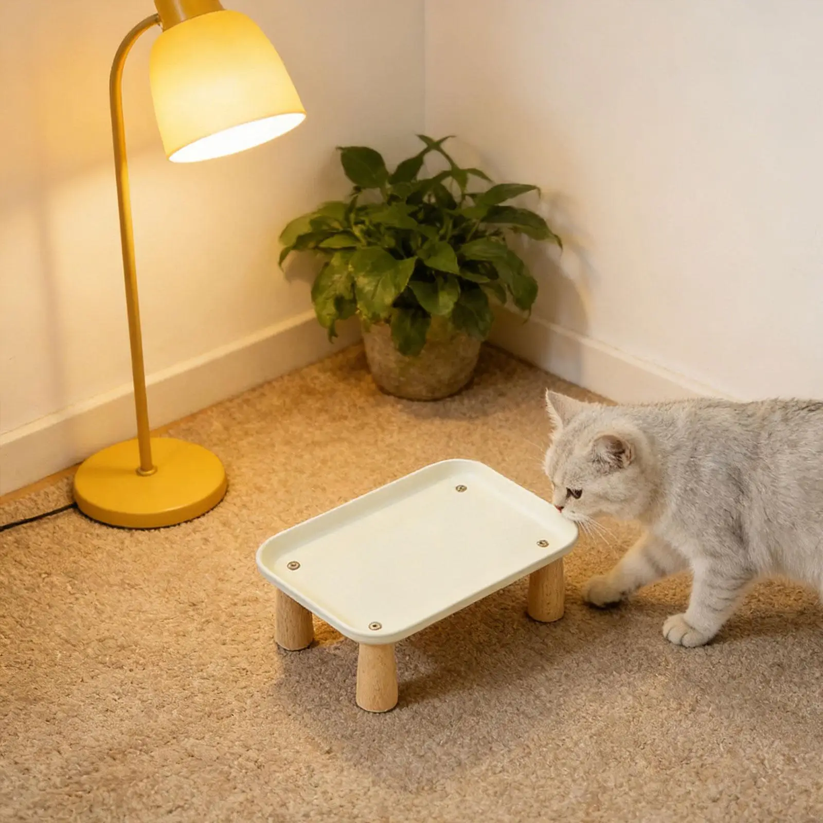 高さのあるペット用食器台-猫用ボウルスタンド-多機能-安定性が高い-洗える-高めの食器台