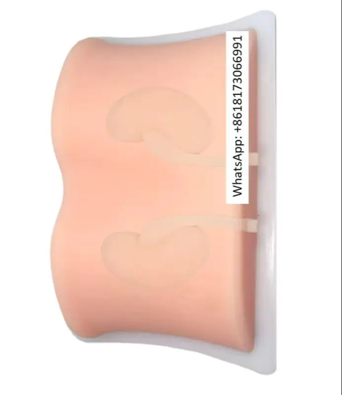 Ultrasound-guided Kidney Puncture Training Model B Ultrasound Kidney Puncture Teaching Practice