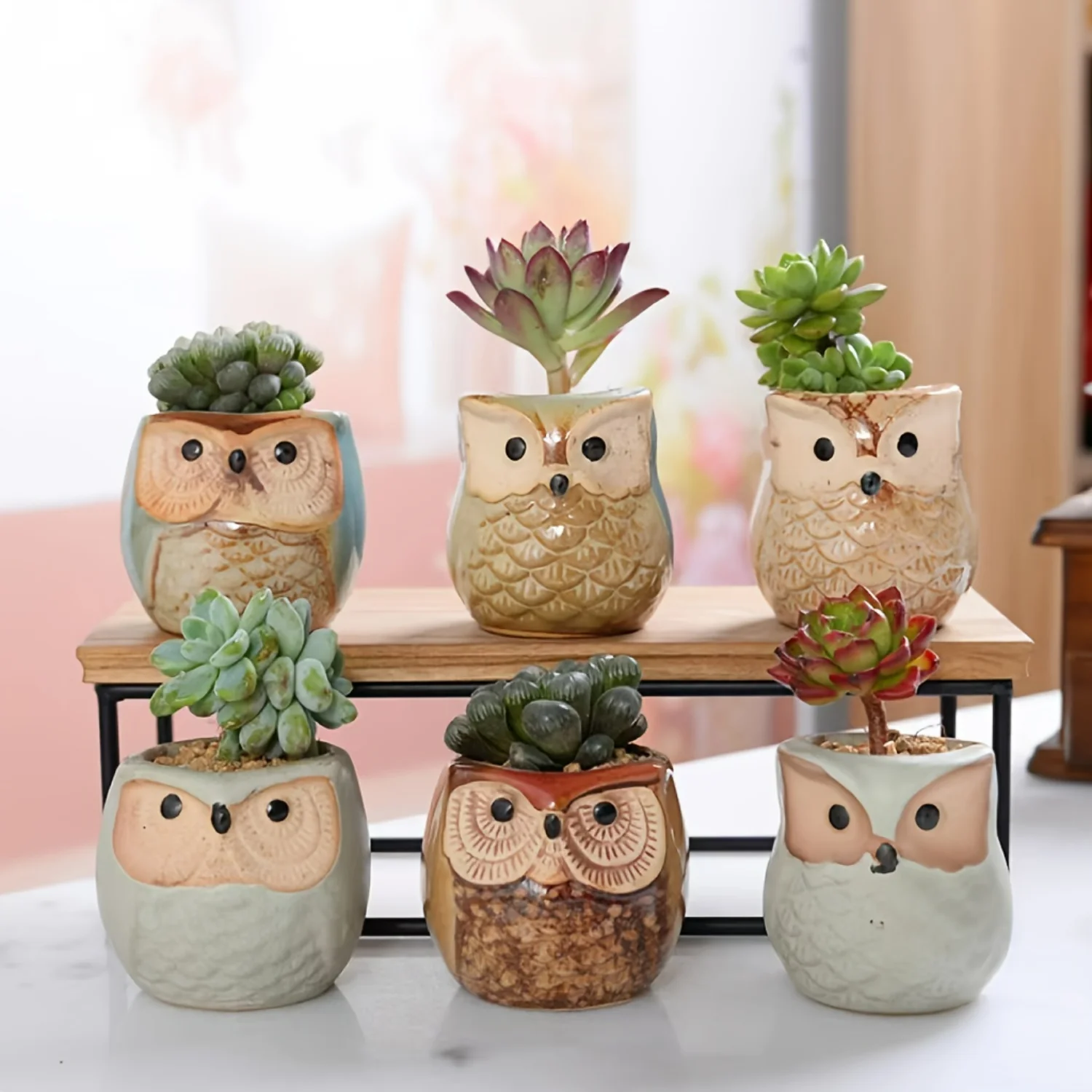 6-Piece Owl Ceramic Planters Set - Succulent Pots with Drainage Holes - Artistic Garden Decor